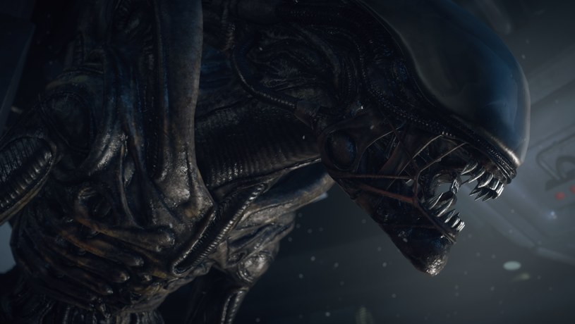 Alien: Isolation z ogromną zniżką w sklepie cyfrowym GOG.com /materiały prasowe