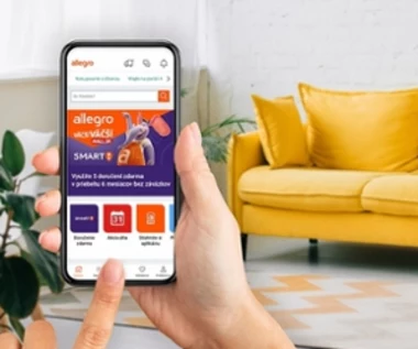 Allegro wkracza na rynek słowacki i otwiera nowe możliwości dla polskich sprzedawców