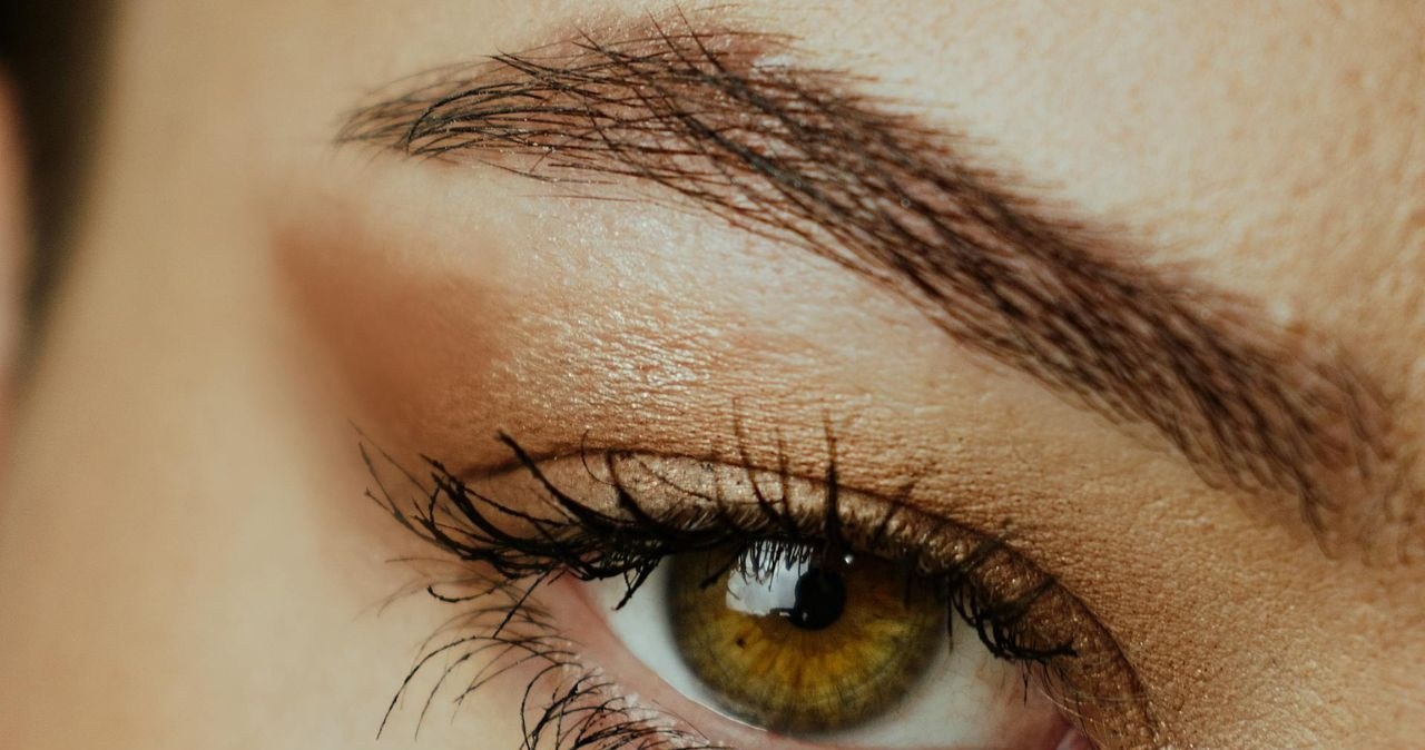 Aloes może pomóc w uzyskaniu gęstych i mocnych brwi /Priscila Zovia /Pexels.com