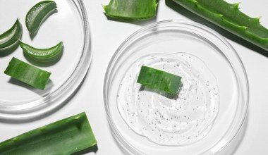 Aloes na włosy to sekret zdrowej i lśniącej fryzury. Odkryj efekty po 10 minutach!