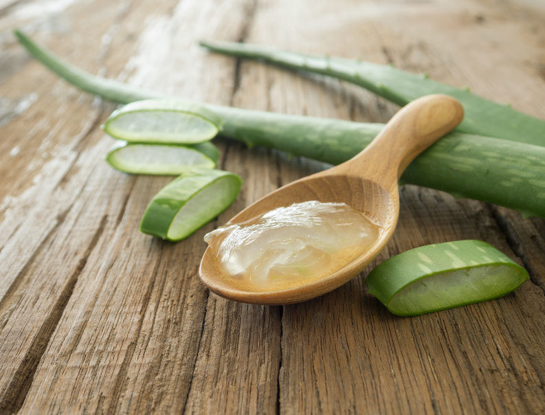 Aloes /&copy;123RF/PICSEL