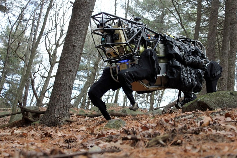 AlphaDog - robot opracowany w ramach projektu "BigDog" /materiały prasowe