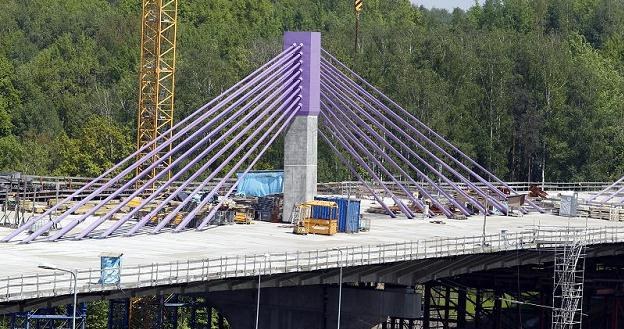 Alpine Bau twierdzi, że przez budowę tego mostu upadł cały koncern /PAP