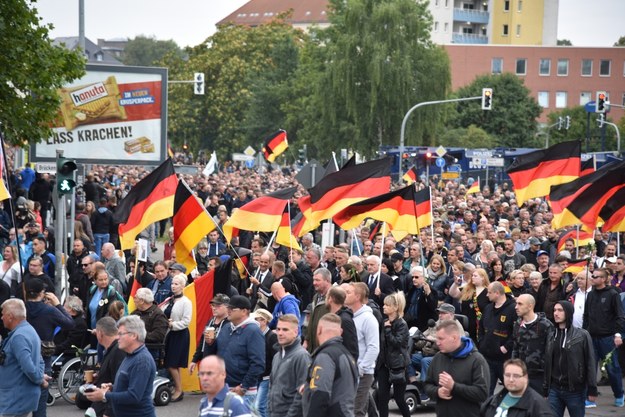 Alternatywa dla Niemiec (AfD) zdobyła rekordowe poparcie w sondażach /Shutterstock