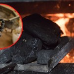 Alternatywy dla węgla są coraz popularniejsze. Podpowiadamy, co się opłaca