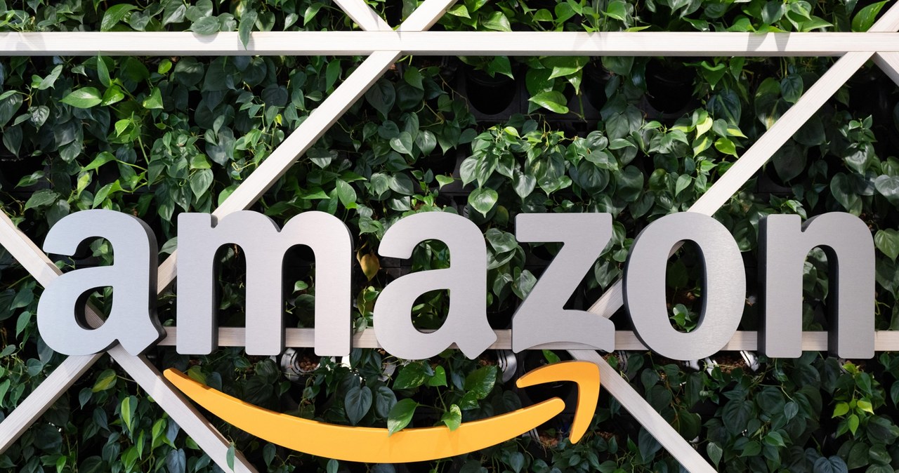Amazon - logo /AFP