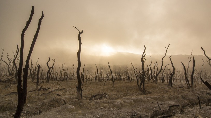 Amazon ogłasza Climate Pledge Fund o wartości 2 mld $ do wsparcia dekarbonizacji /Geekweek