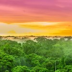 Amazonia bliska punktu krytycznego? Naukowcy alarmują
