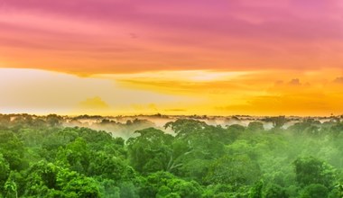 Amazonia bliska punktu krytycznego? Naukowcy alarmują