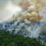 Amazonia emituje już więcej CO2 niż pochłania