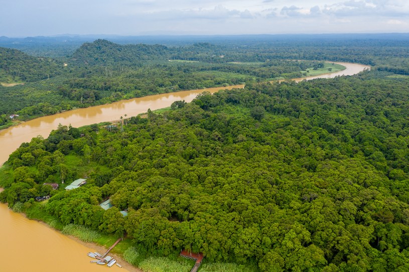 Amazonia jest skażona rtęcią /123RF/PICSEL