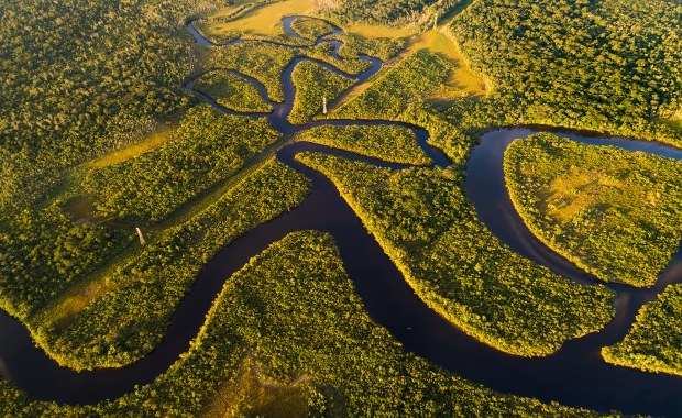 Amazonia przechodzi w stan "hipertropikalny". Koniec największego lasu świata?