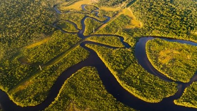 Amazonia przechodzi w stan "hipertropikalny". Koniec największego lasu świata?
