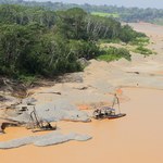 Amazonia tonie w rtęci. Peruwiańskie kopalnie złota niszczą największy las świata