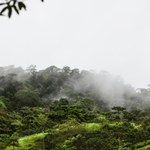 Amazonia w niebezpieczeństwie. Nadchodzące El Niño może wysuszyć dżunglę