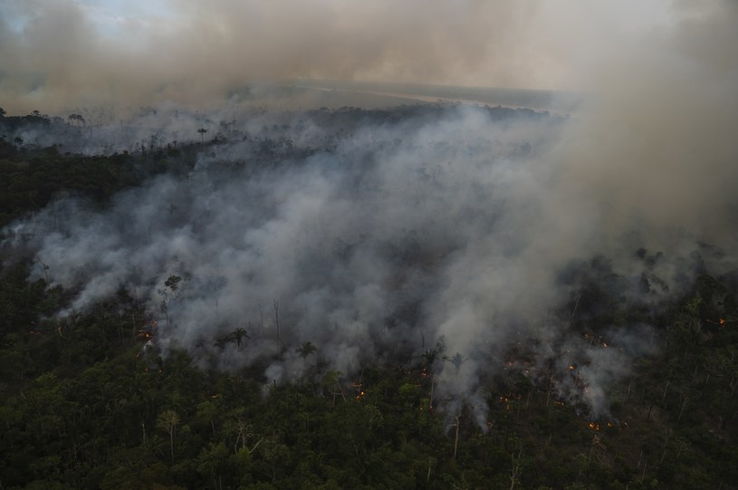 Amazonia w ogniu. Najwięcej pożarów lasów od 15 lat