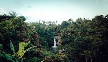 Amazonia wkracza w stan hipertropikalny. Nie doświadczyła go od milionów lat