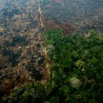 Amazonia: Zdegradowany las wchłania o jedną trzecią mniej CO2
