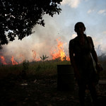 Amazonia znów płonie. Najwięcej pożarów od 14 lat