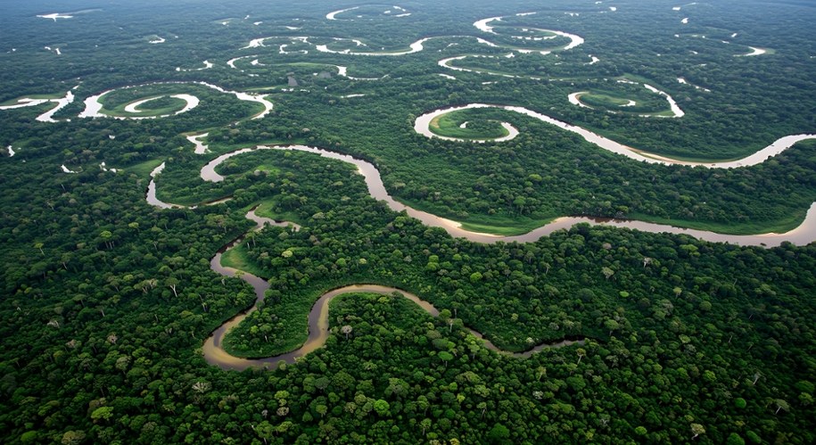 Amazonia /Shutterstock