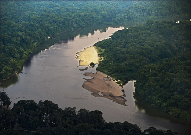 Amazońska dżungla /AFP