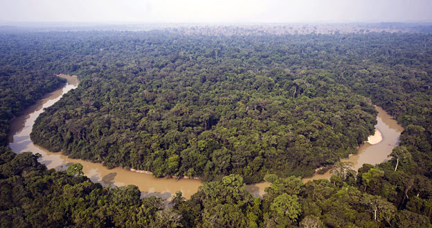 Amazońska dżungla /AFP
