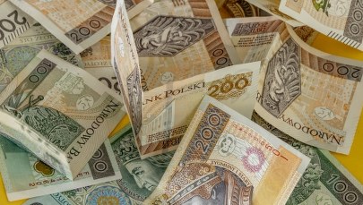 "Amber Gold dla bogatych". Znany profesor stworzył piramidę finansową