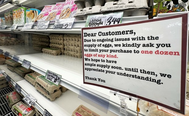 Ameryka szuka jajek w Europie. Prosi Danię o pomoc