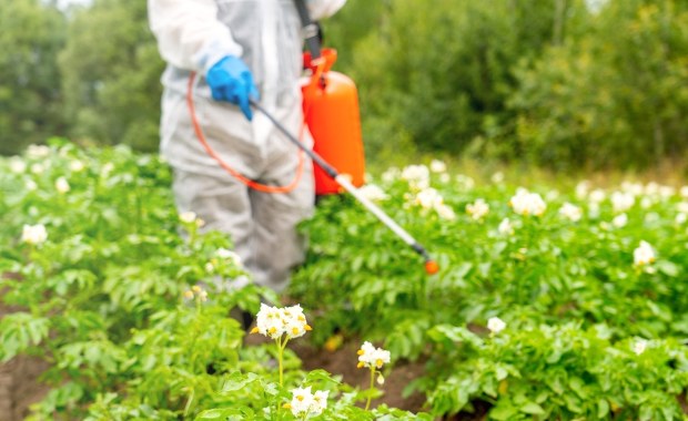 Amerykanie jedzą pestycydy na potęgę. Oto lista "Brudnych produktów"