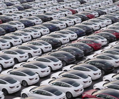 Amerykanie nie chcą kupować aut Elona Muska. Znaczący spadek cen Tesli