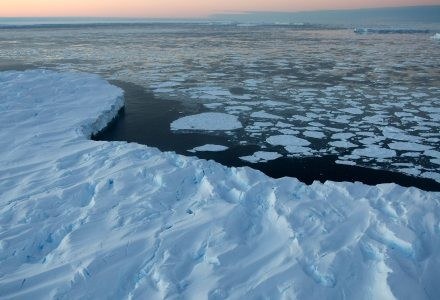 Amerykańscy badacze Antarktydy dostali zakaz używania aplikacji P2P /AFP
