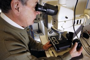 Amerykańscy naukowcy zrewolucjonizują mikroskopię świetlną