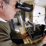Amerykańscy naukowcy zrewolucjonizują mikroskopię świetlną