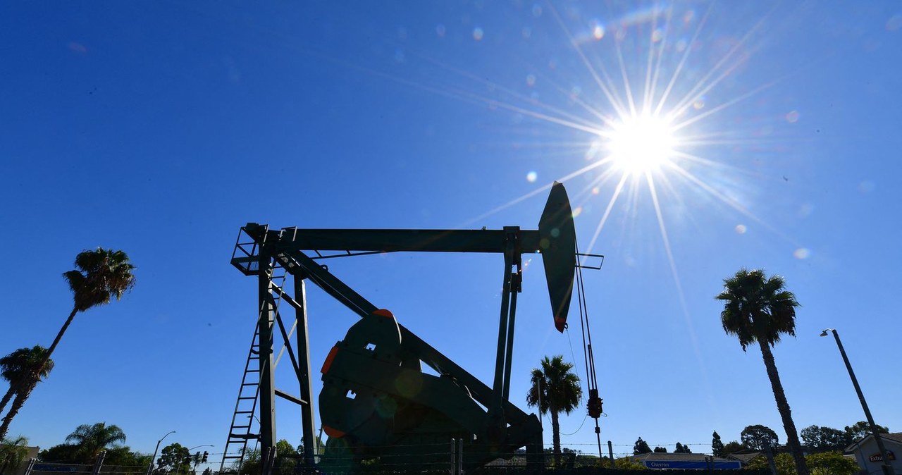 Amerykańska ropa naftowa drożeje o 2 proc., do 99 dol. za baryłkę. nz. wydobycie ropy w Signal Hill w Kalifornii /AFP