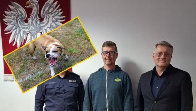 Amstaff zaatakował kobietę i jej psa. Szybka reakcja mieszkańca uratowała jej życie