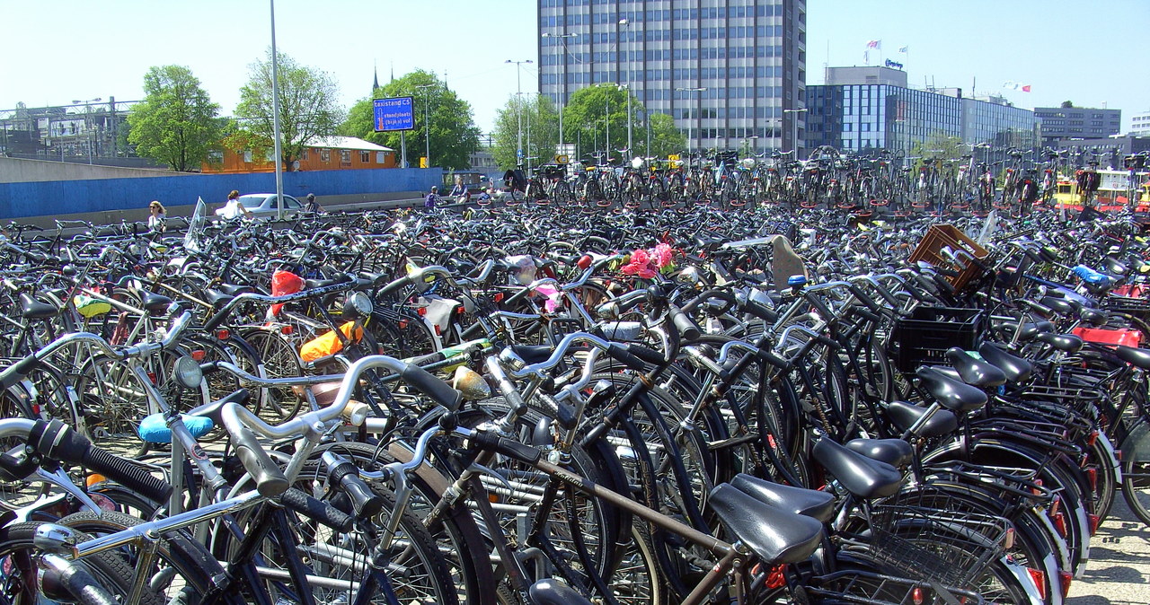 Amsterdam /Getty Images