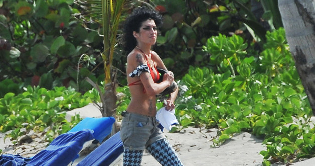 Amy Winehouse &nbsp; /Splashnews