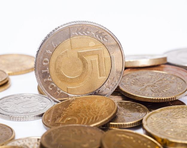 Analitycy oceniają, że złoty będzie w piątek poruszał się w paśmie 4,21-4,24 za euro /&copy;123RF/PICSEL