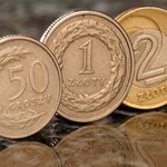 Analitycy: Złoty w trendzie aprecjacyjnym
