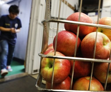 Analiza cen: Ceny jabłek poszły w górę o ponad 46 proc. Banany zaliczają spadek 