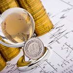 Analiza: W minionym roku złoty zaskoczył stabilnością