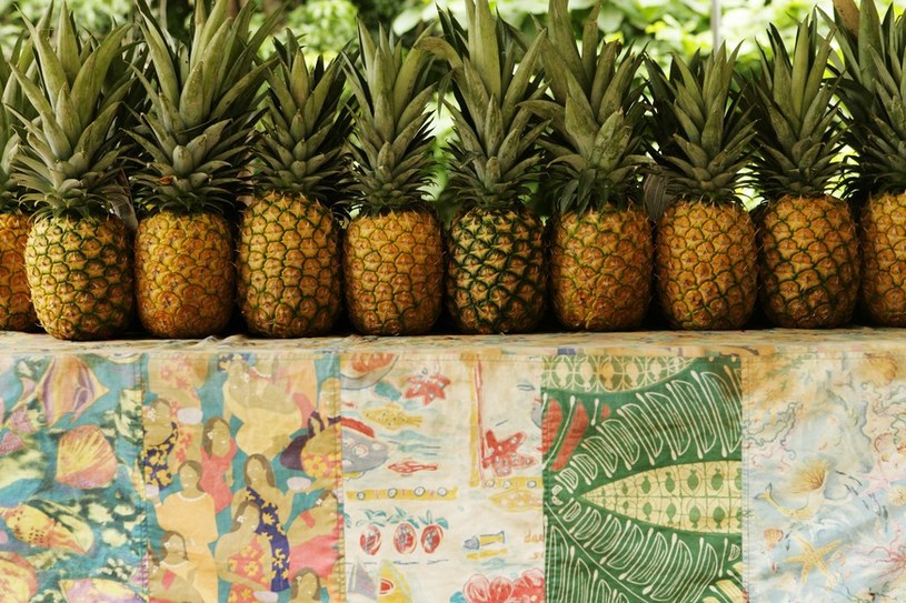ananas na odporność /© Photogenica