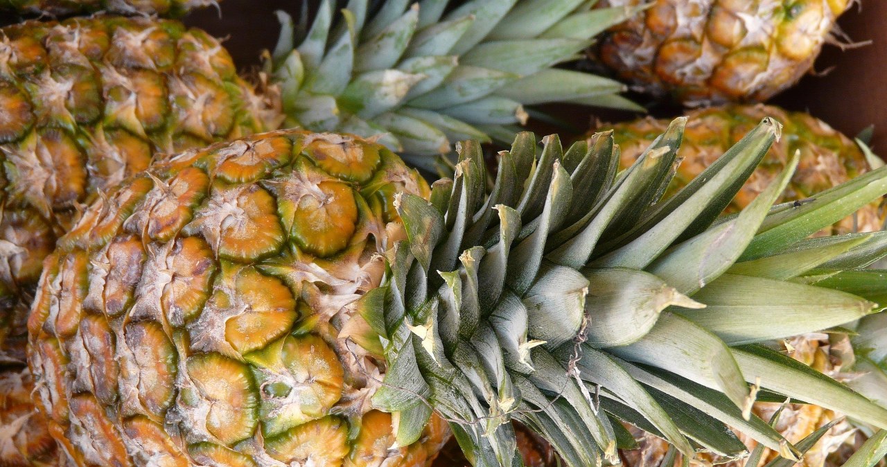 Ананас - "найчистіший" фрукт у світі /pixabay.com
