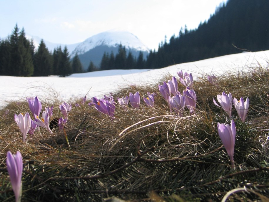 &nbsp; &nbsp; /RMF FM