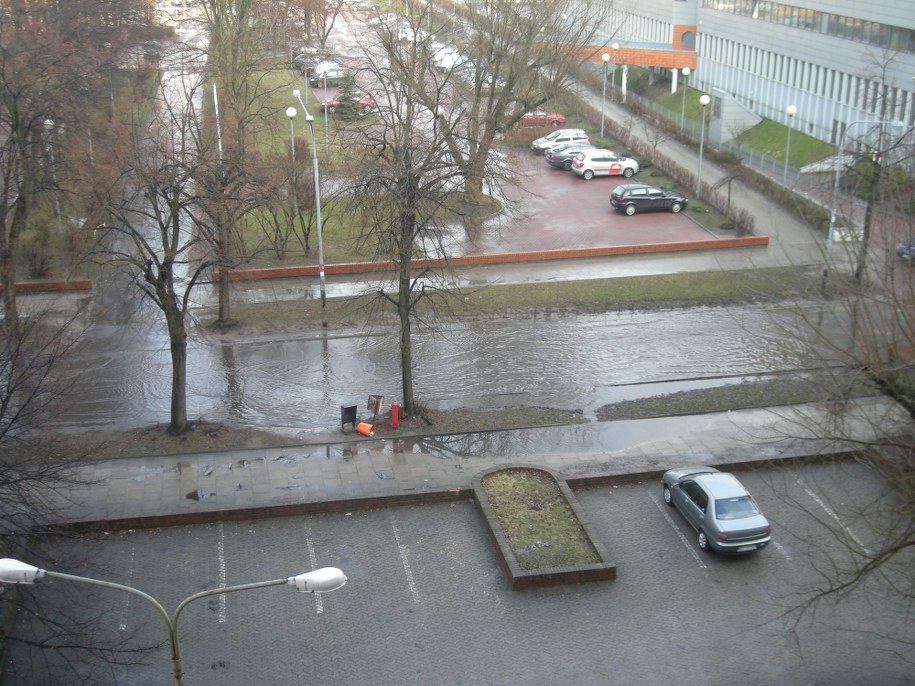 &nbsp; &nbsp; /Fot. Damian /poboczem.pl