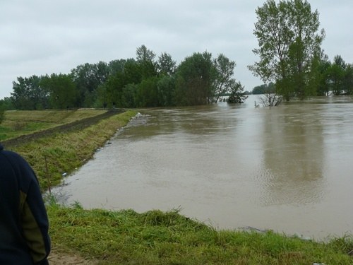 &nbsp; &nbsp; /Gorąca Linia RMF FM