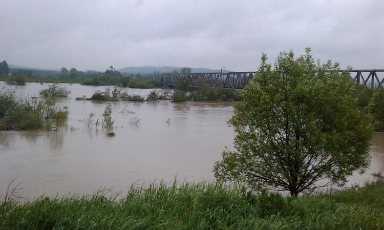 &nbsp; &nbsp; /Gorąca Linia RMF FM