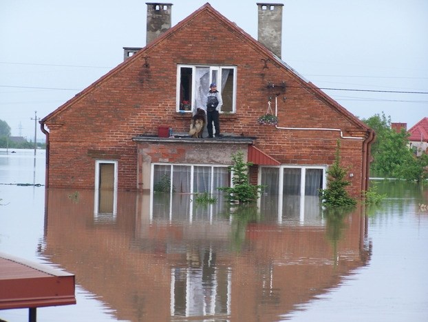 &nbsp; &nbsp; /&nbsp; /Gorąca Linia RMF FM