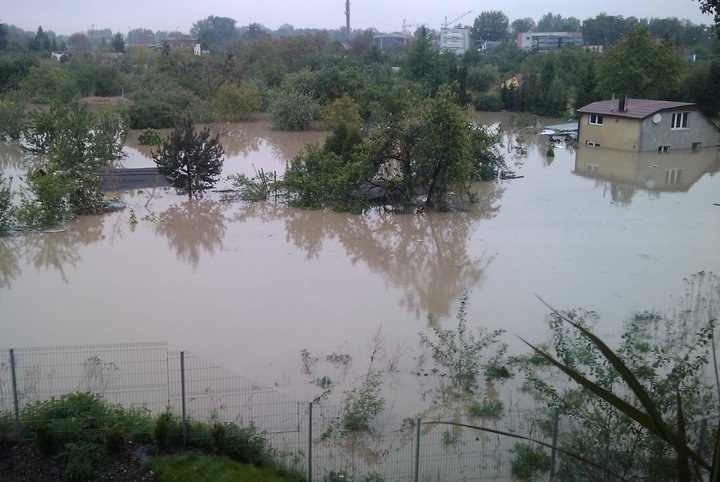 &nbsp; &nbsp; /&nbsp; /Gorąca Linia RMF FM