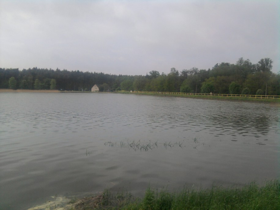 &nbsp; &nbsp; /Marcin /Gorąca Linia RMF FM